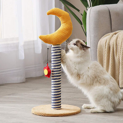 Celestial Cat Scratchers, Cat Trees, And Scratching Posts