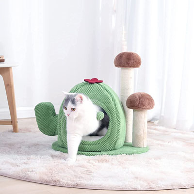 Cactus Scratching Posts And Cat Trees