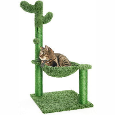 Cactus Scratching Posts And Cat Trees