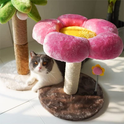 Flower Cat Trees And Scratching Posts