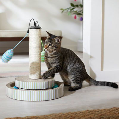 Easter Cat Toys, Cave Beds, Scratchers, Houses, And Scratching Posts