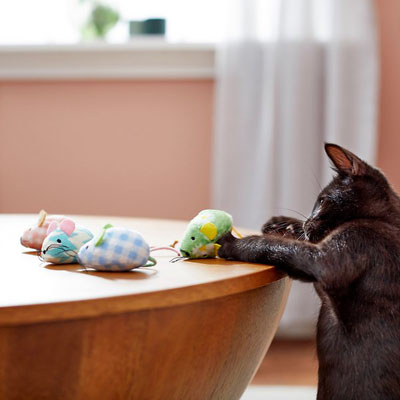 Easter Cat Toys, Cave Beds, Scratchers, Houses, And Scratching Posts