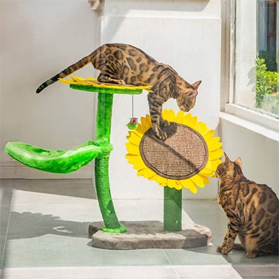 Flower Cat Trees And Scratching Posts