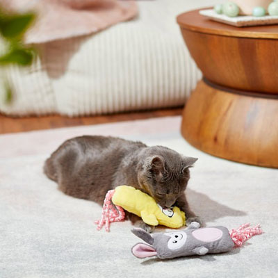 Easter Cat Toys, Cave Beds, Scratchers, Houses, And Scratching Posts