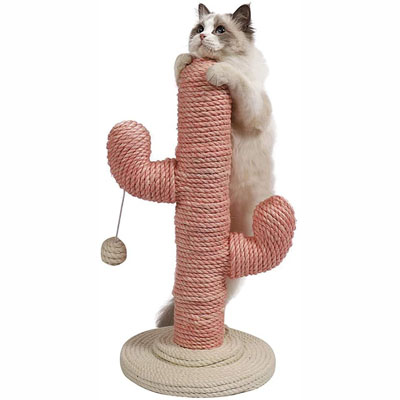 Cactus Scratching Posts And Cat Trees