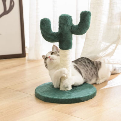 Cactus Scratching Posts And Cat Trees