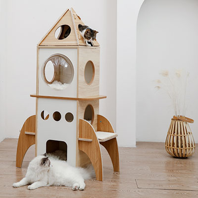 Celestial Cat Scratchers, Cat Trees, And Scratching Posts