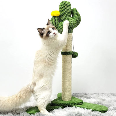 Cactus Scratching Posts And Cat Trees