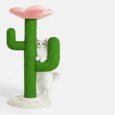 Cactus Scratching Posts And Cat Trees