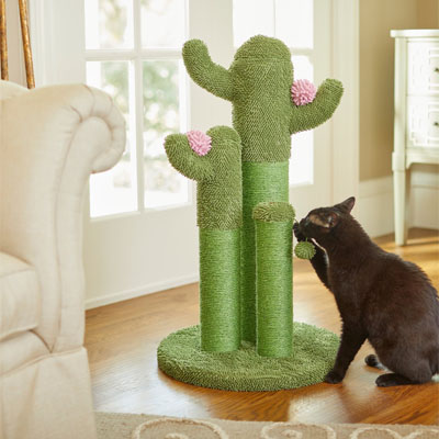 Cactus Scratching Posts And Cat Trees