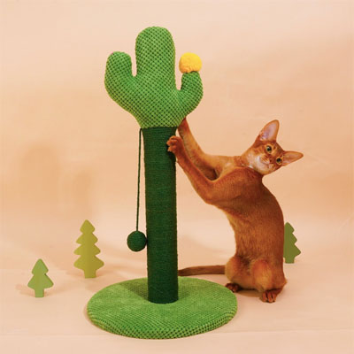 Cactus Scratching Posts And Cat Trees