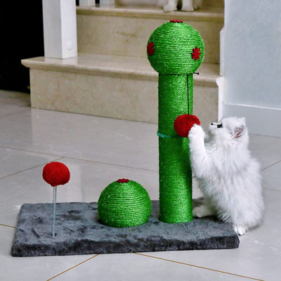 Cactus Scratching Posts And Cat Trees