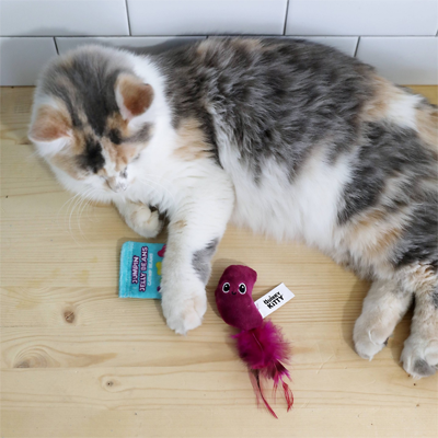 Easter Cat Toys, Cave Beds, Scratchers, Houses, And Scratching Posts