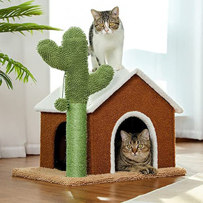 Cactus Scratching Posts And Cat Trees