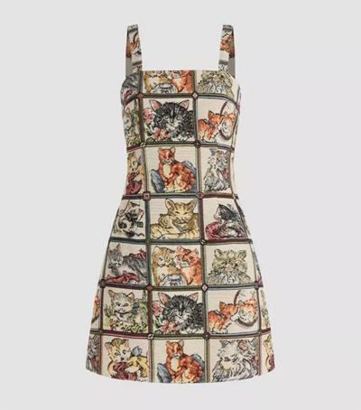 cat dresses for women