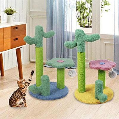 Cactus Scratching Posts And Cat Trees