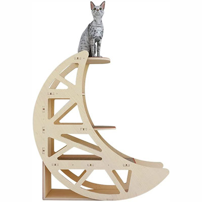 Celestial Cat Scratchers, Cat Trees, And Scratching Posts