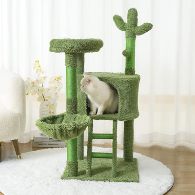 Cactus Scratching Posts And Cat Trees