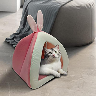 Easter Cat Toys, Cave Beds, Scratchers, Houses, And Scratching Posts