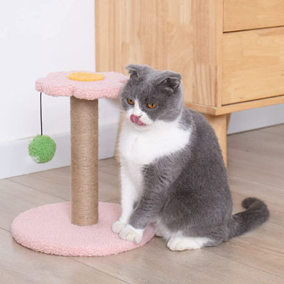 Flower Cat Trees And Scratching Posts