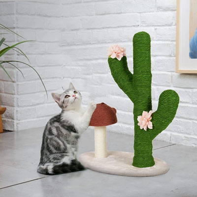 Cactus Scratching Posts And Cat Trees