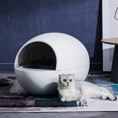 Automatic Self-cleaning Litter Boxes