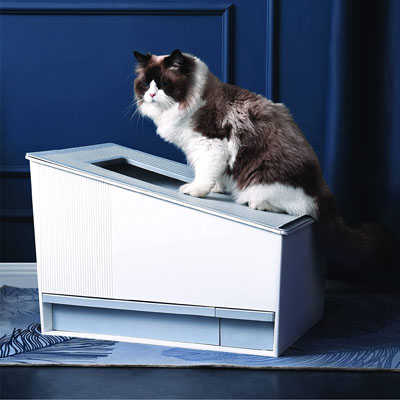 Automatic Self-cleaning Litter Boxes
