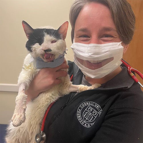 one eyed black and white survivor cat