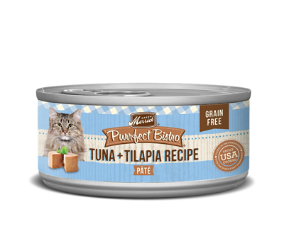 best wet food for cats with cerebellar hypoplasia