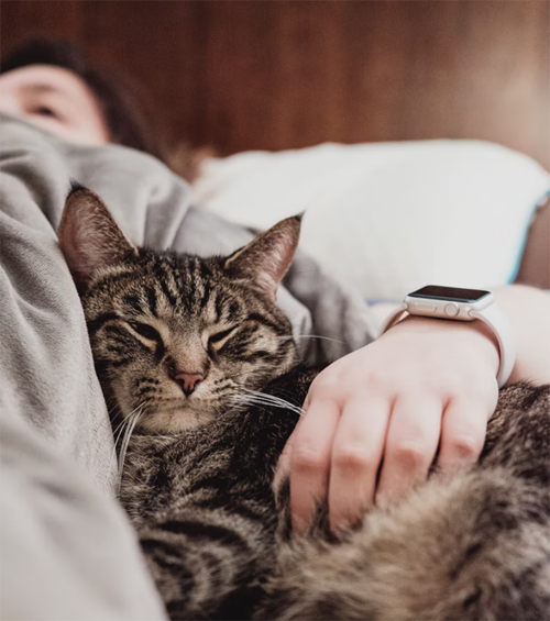 how often should i scoop my cat's litter