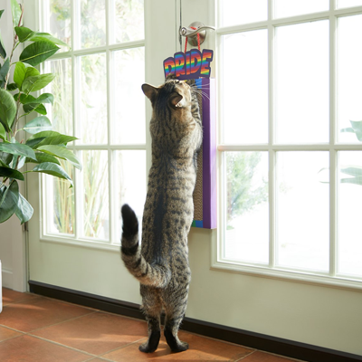 hanging cat scratching toy for pride