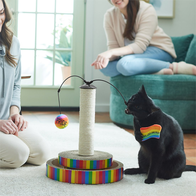 pride cat scratching post