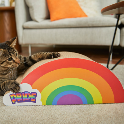 rainbow cat scratcher for pride