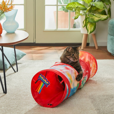 rainbow cat tunnel for pride