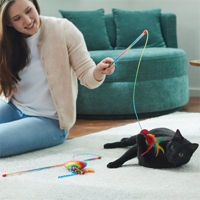 set of two rainbow teaser wand cat toys