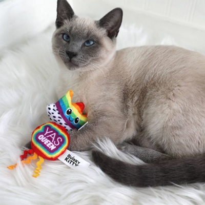 rainbow yas queen catnip toys for pride