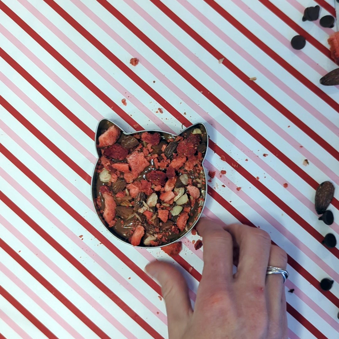 Super Simple Recipe For Cookie Cutter Chocolate Cats